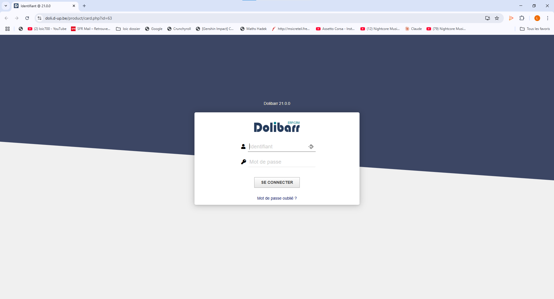 Interface Dolibarr et Sellyoursas